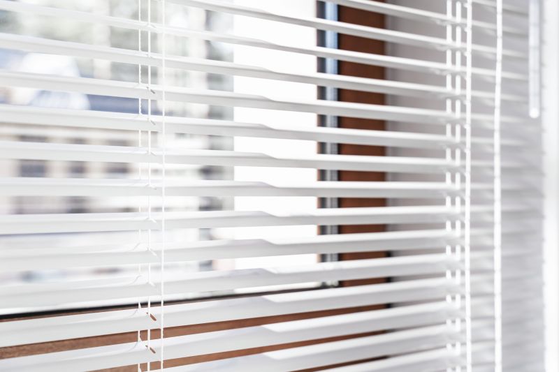 Blinds Replacement Service detail
