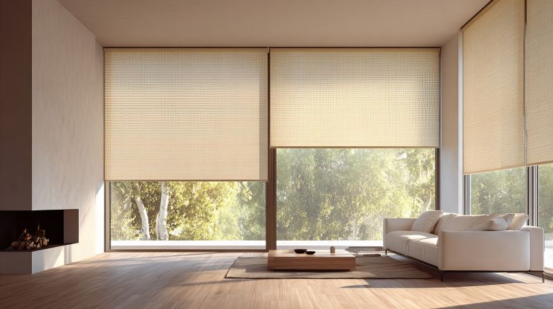 Motorized Shade Repair detail