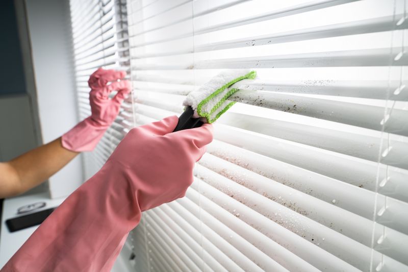 Window Blinds Cleaning detail